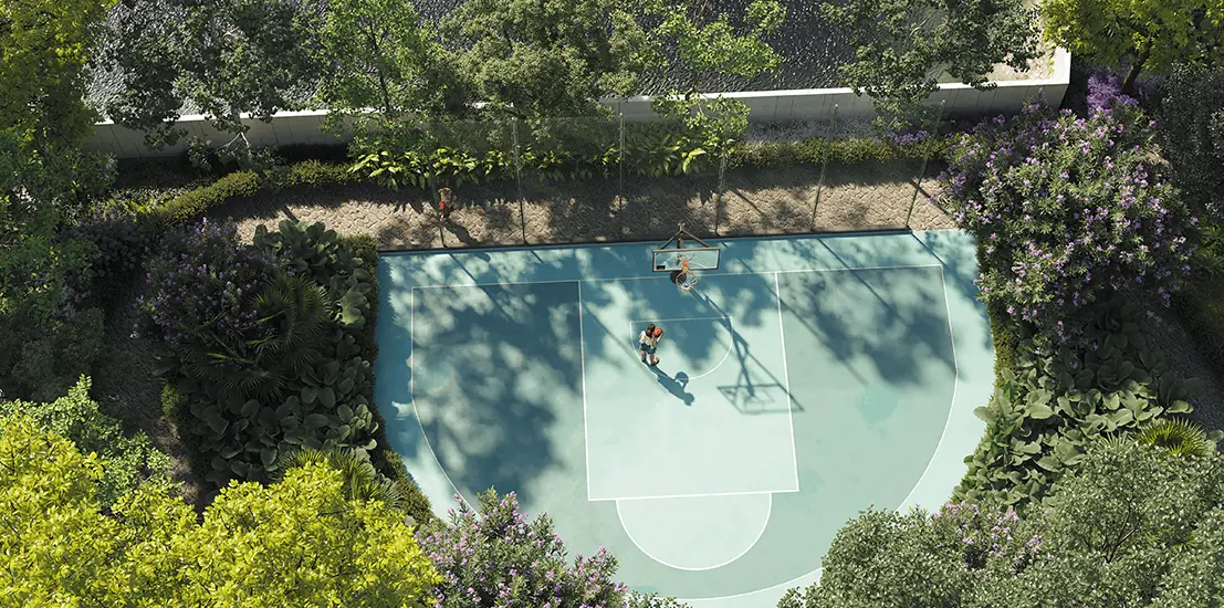 Basketball & Tennis